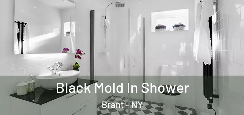  Black Mold In Shower Brant - NY