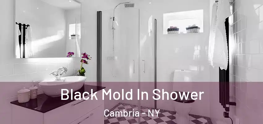  Black Mold In Shower Cambria - NY
