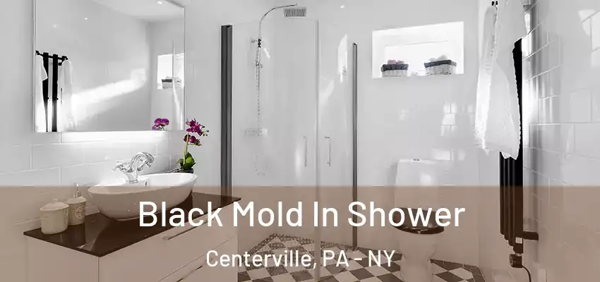 Black Mold In Shower Centerville, PA - NY