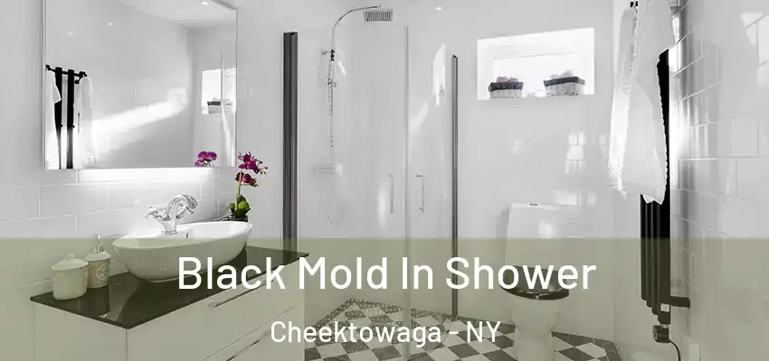  Black Mold In Shower Cheektowaga - NY