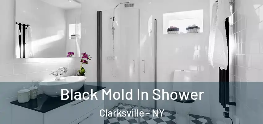  Black Mold In Shower Clarksville - NY