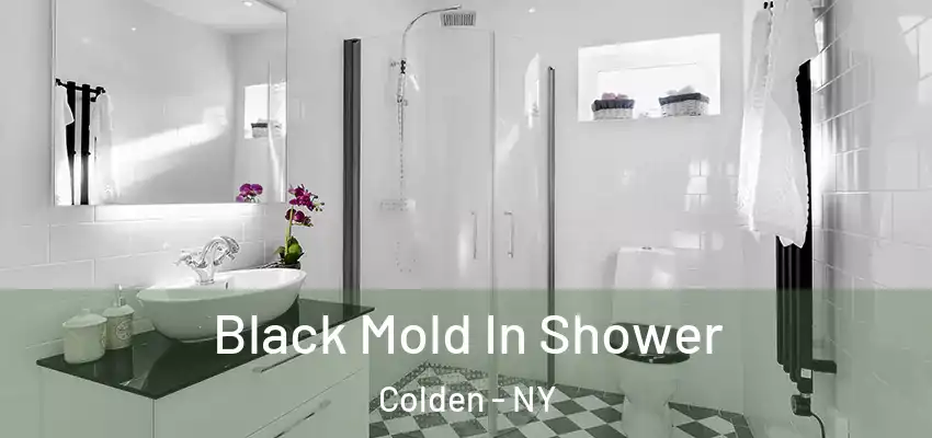  Black Mold In Shower Colden - NY