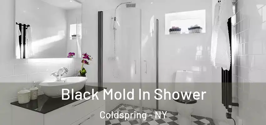  Black Mold In Shower Coldspring - NY