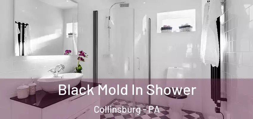  Black Mold In Shower Collinsburg - PA