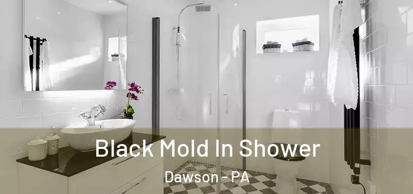  Black Mold In Shower Dawson - PA