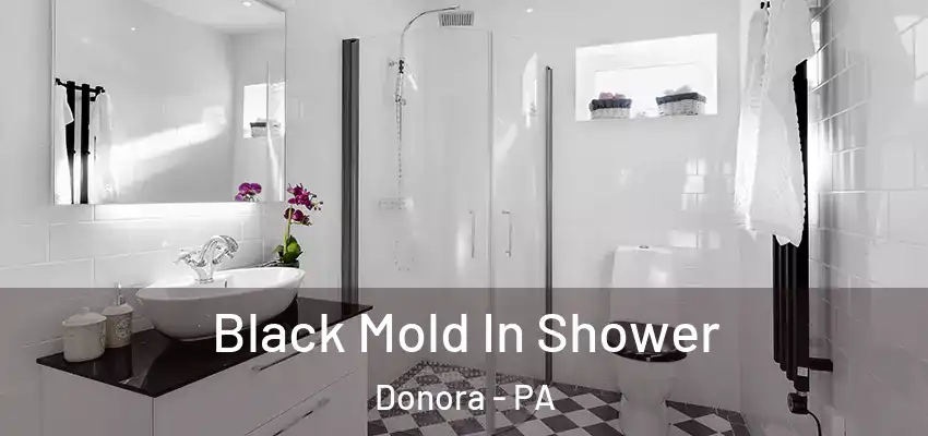  Black Mold In Shower Donora - PA