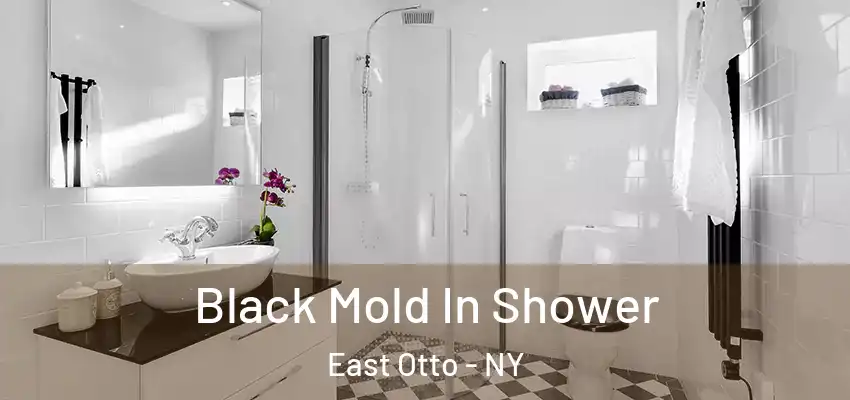  Black Mold In Shower East Otto - NY