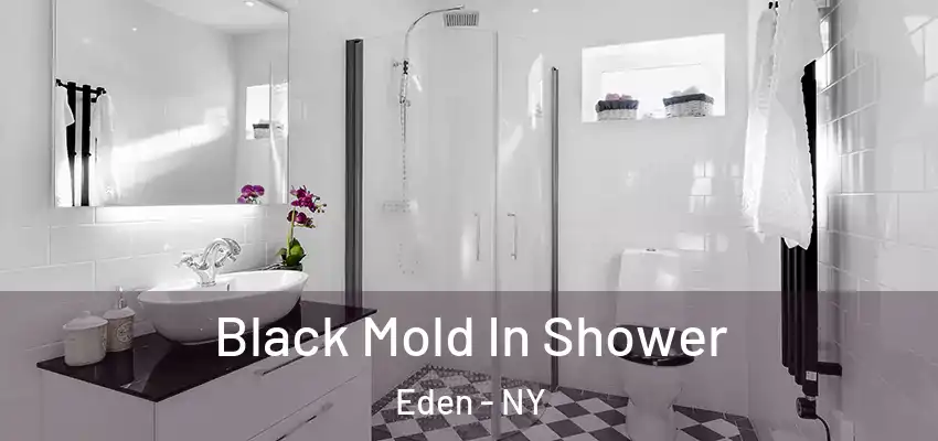  Black Mold In Shower Eden - NY