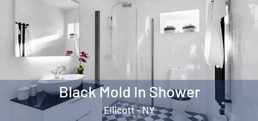  Black Mold In Shower Ellicott - NY