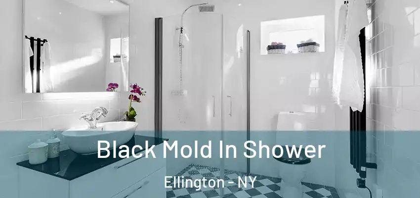  Black Mold In Shower Ellington - NY