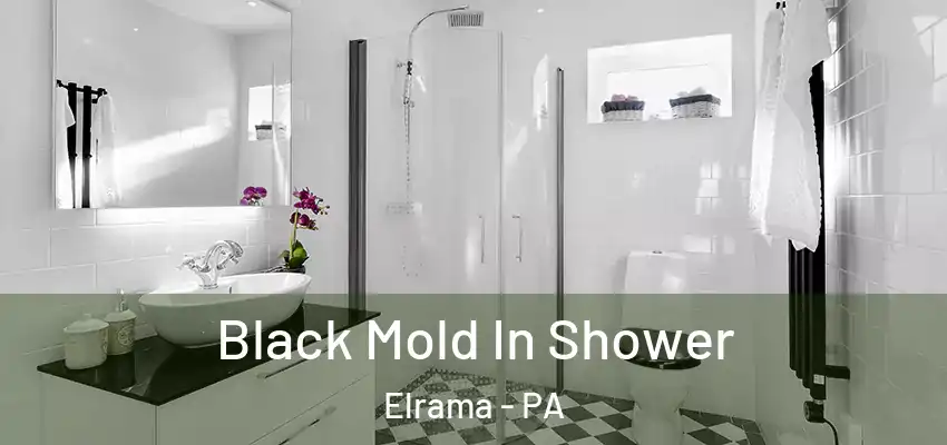  Black Mold In Shower Elrama - PA
