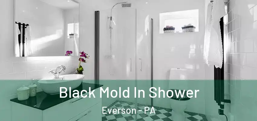  Black Mold In Shower Everson - PA