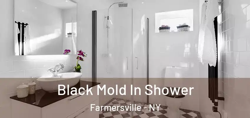 Black Mold In Shower Farmersville - NY