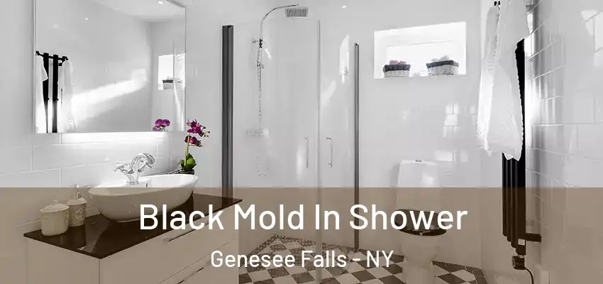  Black Mold In Shower Genesee Falls - NY