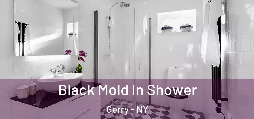  Black Mold In Shower Gerry - NY