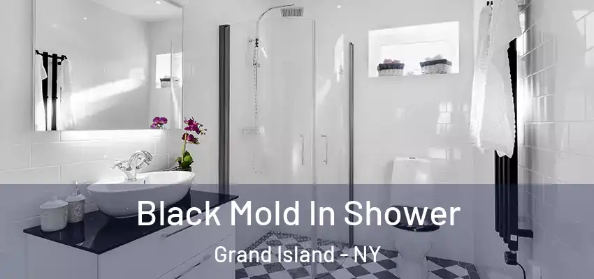  Black Mold In Shower Grand Island - NY