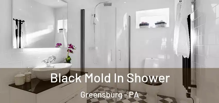  Black Mold In Shower Greensburg - PA