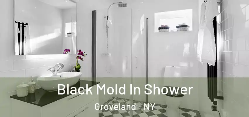  Black Mold In Shower Groveland - NY