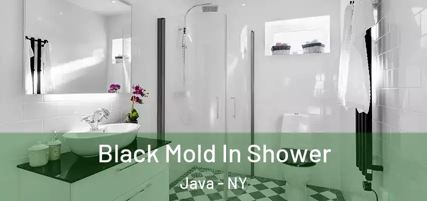 Black Mold In Shower Java - NY