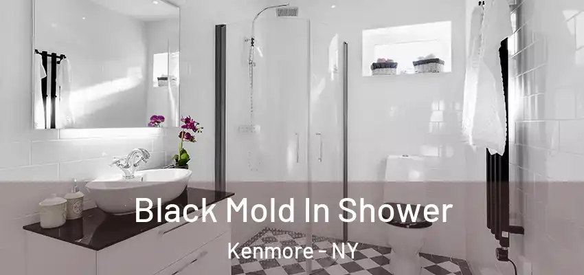  Black Mold In Shower Kenmore - NY