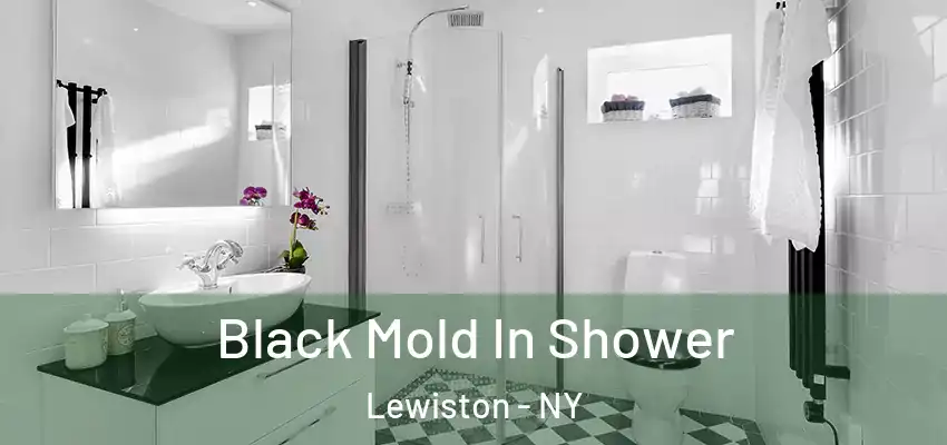  Black Mold In Shower Lewiston - NY