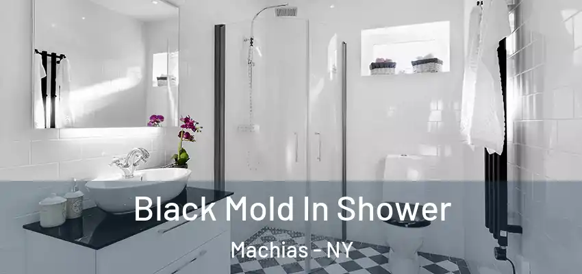  Black Mold In Shower Machias - NY