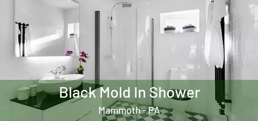  Black Mold In Shower Mammoth - PA