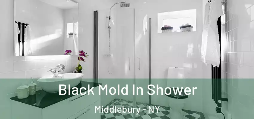  Black Mold In Shower Middlebury - NY