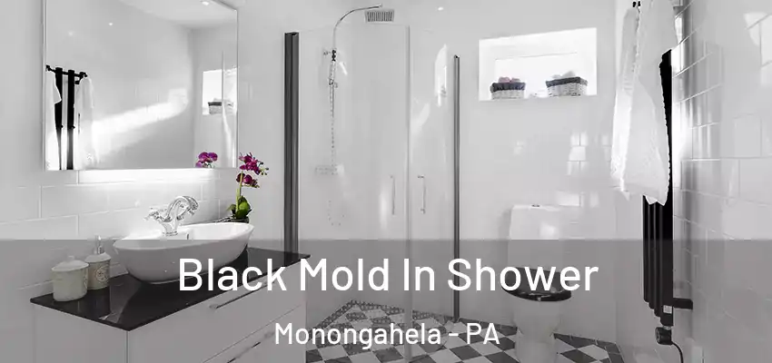 Black Mold In Shower Monongahela - PA
