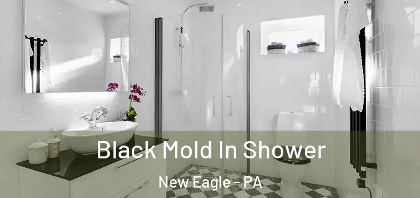  Black Mold In Shower New Eagle - PA