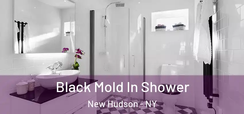  Black Mold In Shower New Hudson - NY
