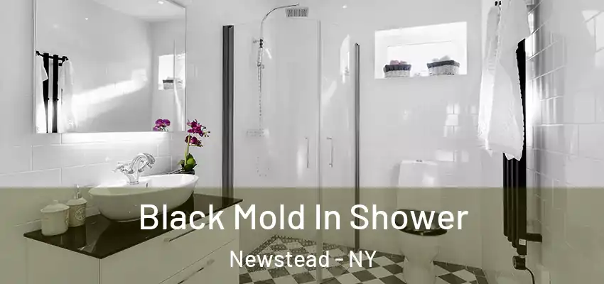 Black Mold In Shower Newstead - NY