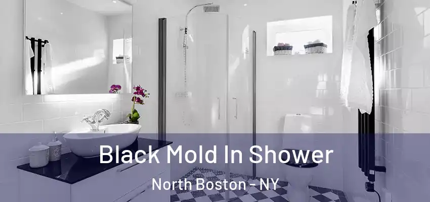  Black Mold In Shower North Boston - NY