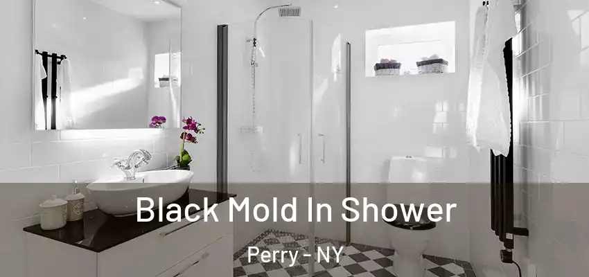 Black Mold In Shower Perry - NY