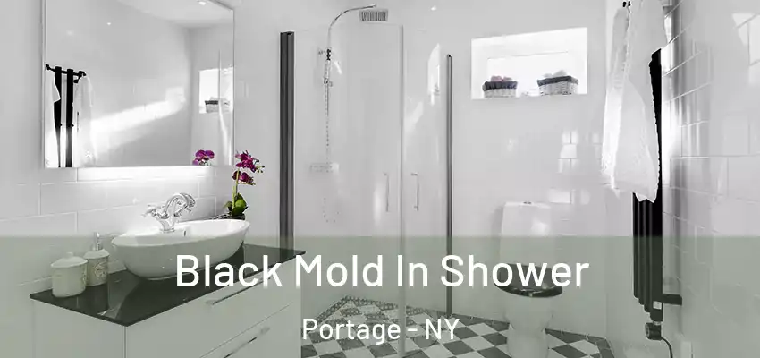  Black Mold In Shower Portage - NY
