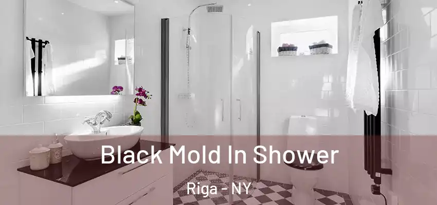  Black Mold In Shower Riga - NY
