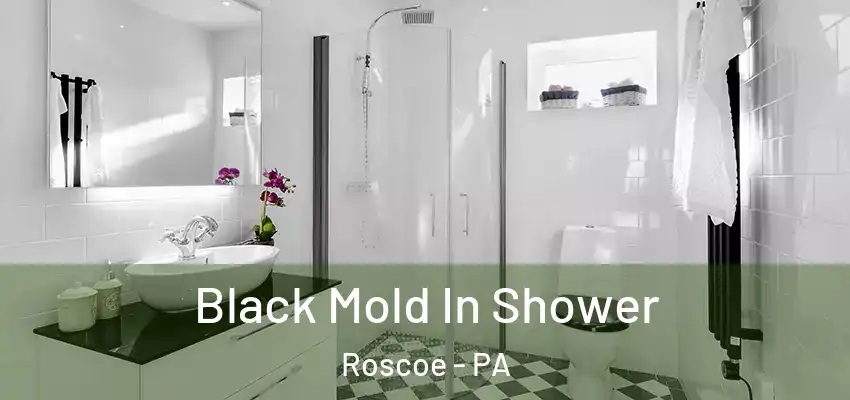  Black Mold In Shower Roscoe - PA