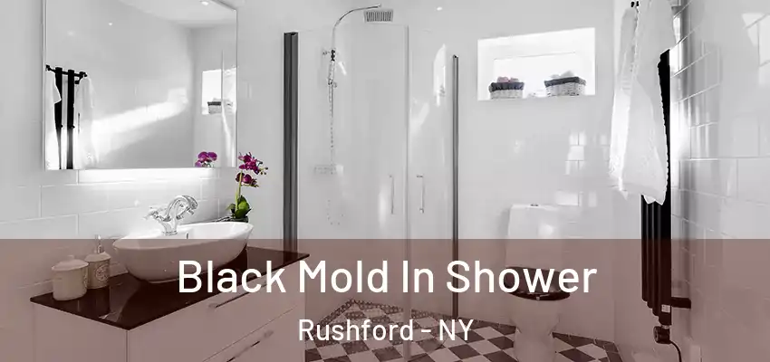  Black Mold In Shower Rushford - NY