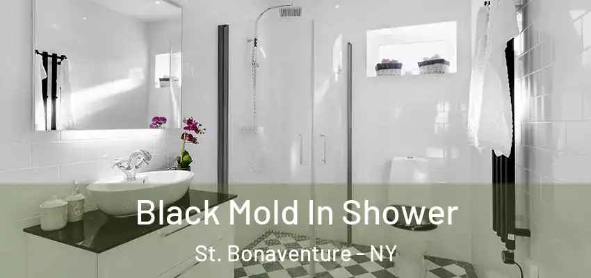  Black Mold In Shower St. Bonaventure - NY