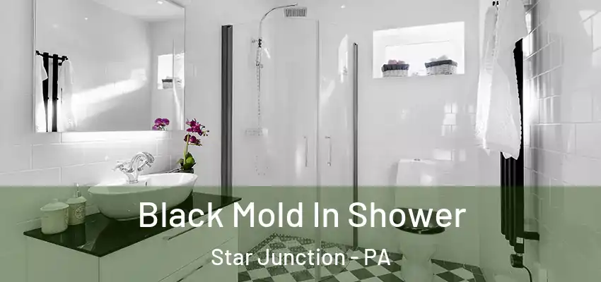  Black Mold In Shower Star Junction - PA