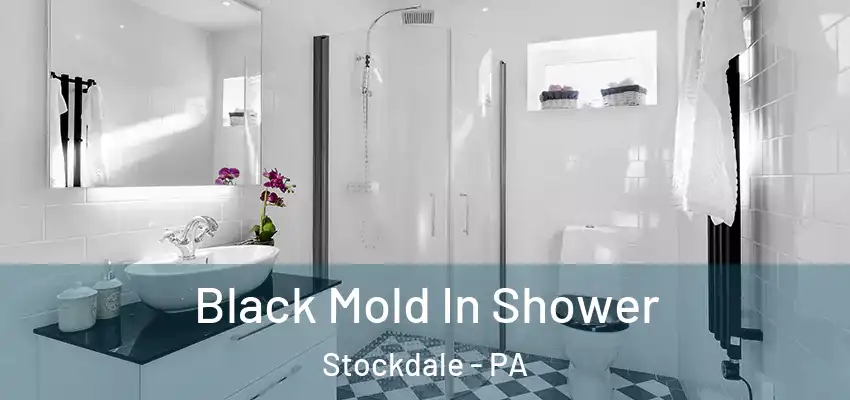  Black Mold In Shower Stockdale - PA