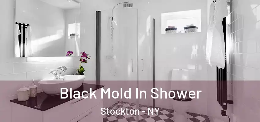  Black Mold In Shower Stockton - NY