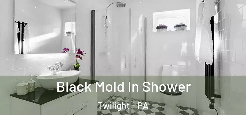  Black Mold In Shower Twilight - PA
