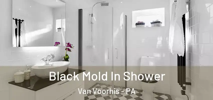  Black Mold In Shower Van Voorhis - PA