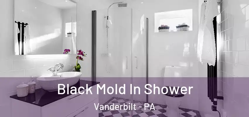  Black Mold In Shower Vanderbilt - PA