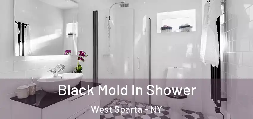  Black Mold In Shower West Sparta - NY