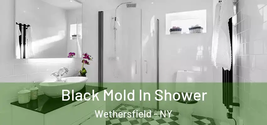  Black Mold In Shower Wethersfield - NY
