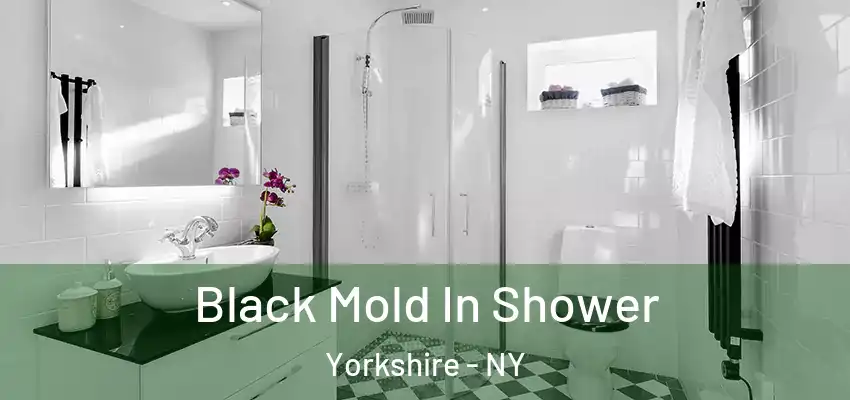  Black Mold In Shower Yorkshire - NY