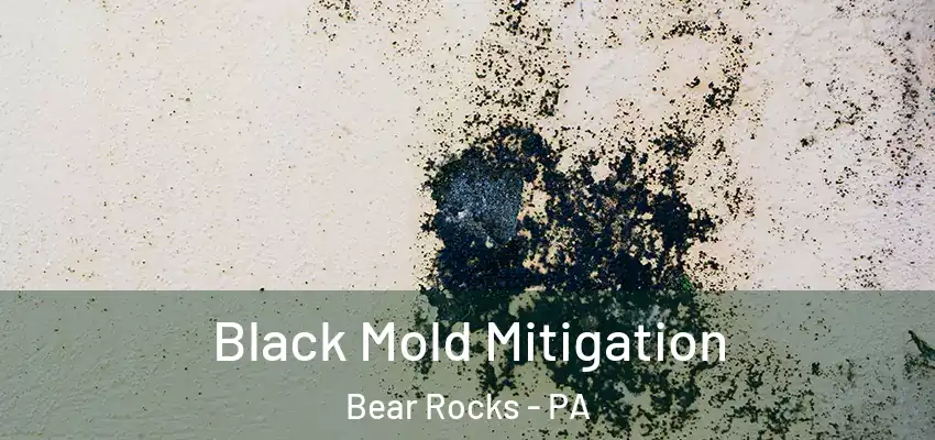  Black Mold Mitigation Bear Rocks - PA