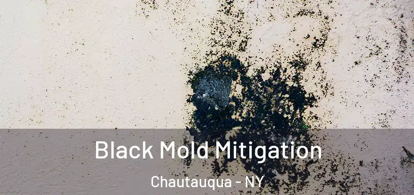  Black Mold Mitigation Chautauqua - NY